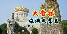 抽插美屄视频合集中国浙江-绍兴大香林旅游风景区
